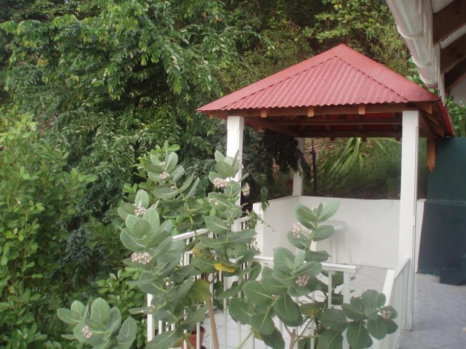 Studio De Charme Au Coeur Du Village, Vue Baie Terre-De-Haut Bagian luar foto